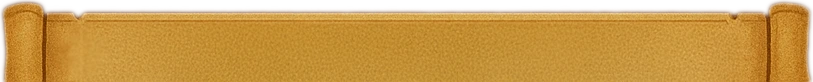 Footer Scroll
